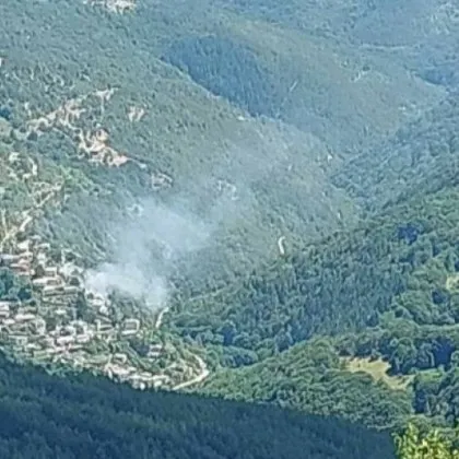 Четири екипа пловдивски огнеборци и служители на горското стопанство с