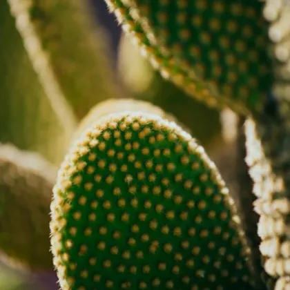 Регионалната инспекция по околната среда и водите във Враца ще