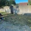 Мъж хвърли граната по полицаи, те го застреляха