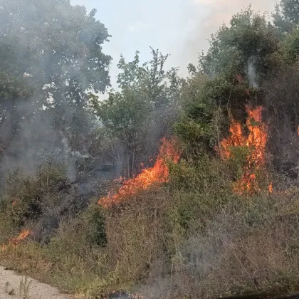 Около 15 000 декара сухи треви ниска тревна растителност и гора