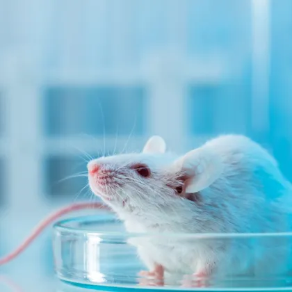 Необичайна и притеснителна находка шокира мъж в София Святослав Събчев