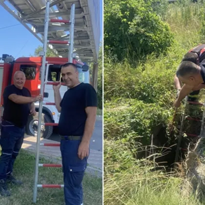 Пожарникари от Перник спасиха бедстващо куче паднало в незакрита яма на