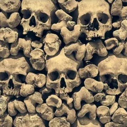 Ново проучване установи че първите опити на хората да опитомят