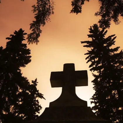 Състоянието на гробищен парк Тополи край Варна предизвика вълна от