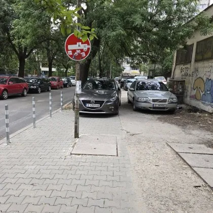 На ул Дедеагач колчетата живеят по малко от тревата между плочките