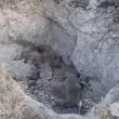 Животни с шарка загробени край извор с лековита вода в Първомайско