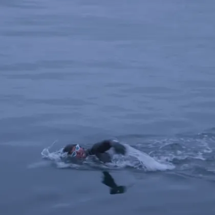 Извисяващи се вълни минусови температури и дори някои любопитни косатки