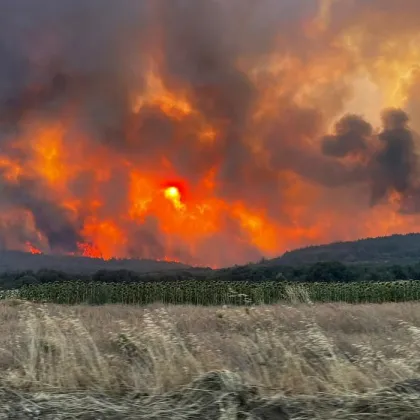 Големи горски пожари избухнаха в западната провинция Шаркьой в Текирдаг