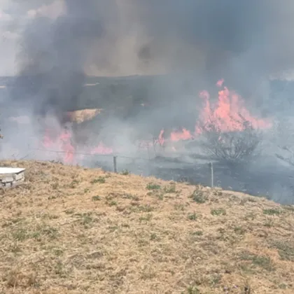 Локализиран е пожарът избухнал днес по обед в землището на град