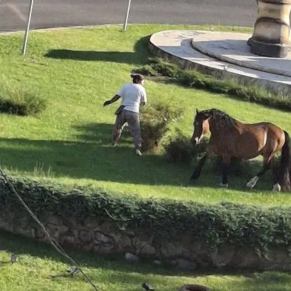 Снимка заснета в град Пещера предизвика вълна смях сред потребителите на