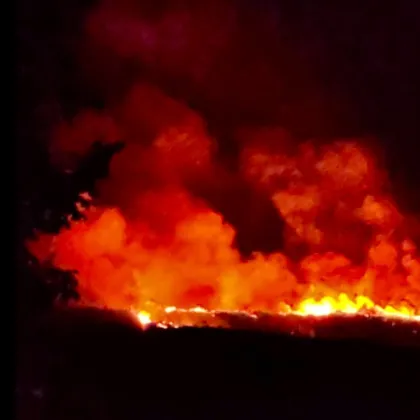 Пожар пламна снощи край Дупница Огънят се разпространява в южна посока