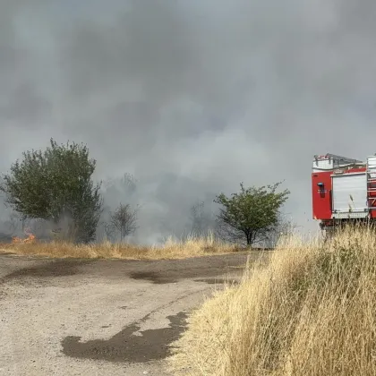 Призив за набиране на доброволци се появи в социалните мрежи