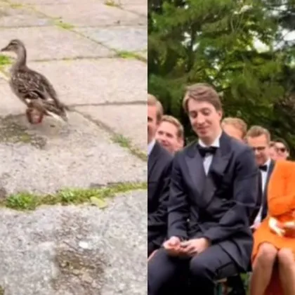 28 годишната американка Мишел се готвела за това нейната приятелка булка