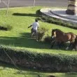 Пещерска каубойка прати коня си да пасе в кръгово СНИМКА