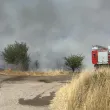 Търсят доброволци за спасяването на животни, пострадали при пожара, изпепелил вили край Бургас