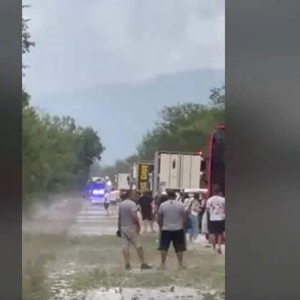 Паднали дървета блокираха ключов път в Плевенско, образува се колона ВИДЕО