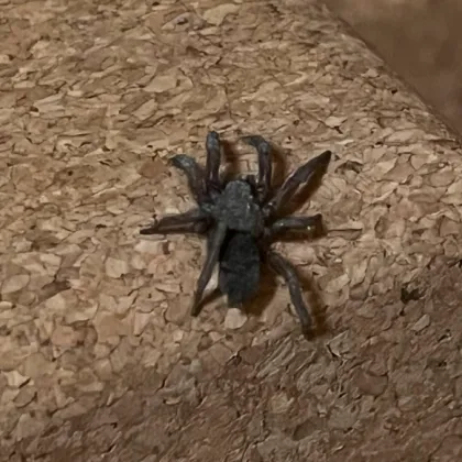 Жител на София предизвика бурна реакция в социалните мрежи след