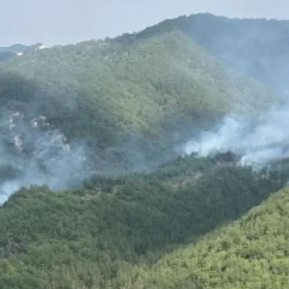 Втори ден продължава борбата с огнената стихия край санданското село