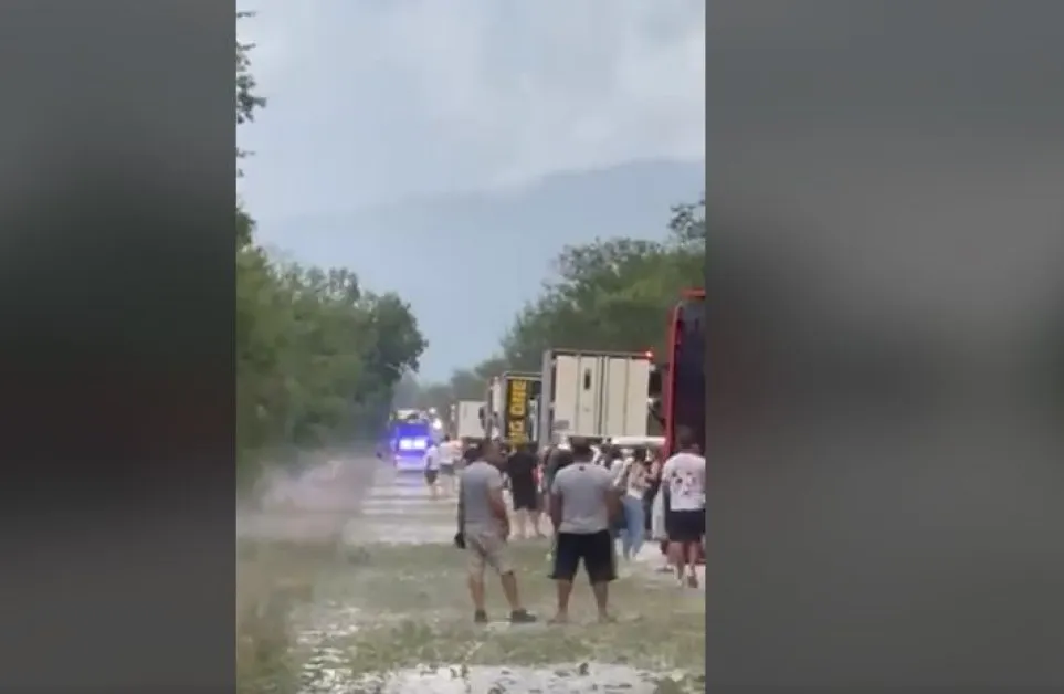 Паднали дървета блокираха ключов път в Плевенско, образува се колона ВИДЕО