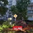 Буря в Пловдив събори дърво на централен булевард, на място са пожарна и полиция СНИМКИ