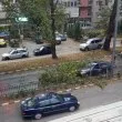 Клон рухна върху кола в Асеновград СНИМКИ