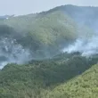 Втори ден продължава борбата с пожара в Пирин