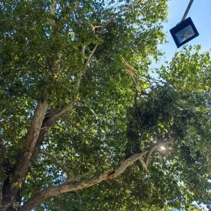 Мощна буря връхлетя Пловдив и областта вечерта на 17 юли