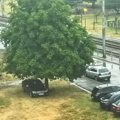Снимки споделени от анонимен столичанин показват черен Мерцедес със софийска