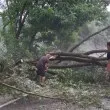 Рухнало дърво блокира ключов път, водачи извикаха Неволята ВИДЕО