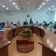 Тежка е ситуацията с шарката по животните в Пловдивско, въвеждат крути мерки