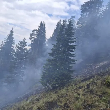 Овладян е пожарът във високите части на природен парк Рилски