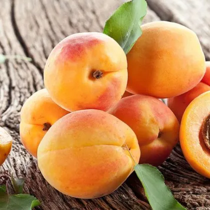 Ще трябва ли скоро да се простим с любими плодове