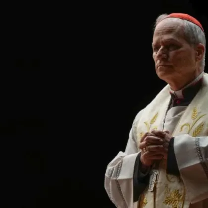 апа Лъв Четиринадесети призова в неделната си молитва Ангел Господен