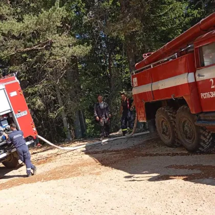 Пожар гори в труднодостъпна местност край Батак СНИМКИ
