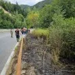 Хора спасиха от огнено бедствие гора в Пловдивско СНИМКИ