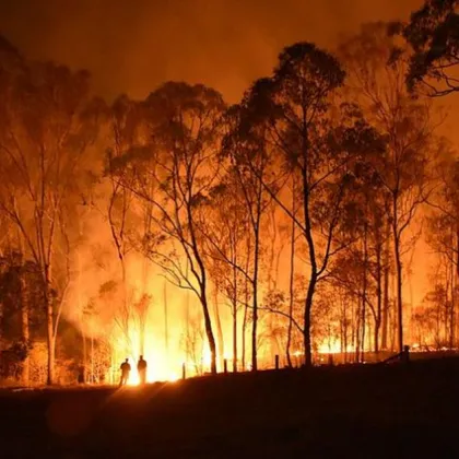 Търсят се доброволци за гасене на голям пожар до Костинброд
