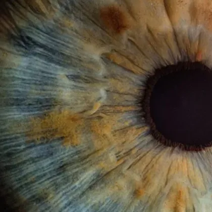 Ново проучване показва че ваксината срещу COVID 19 на Pfizer може