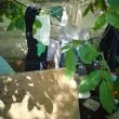 Софиянка: Трамвайната спирка се е превърнала в клошарска СНИМКА