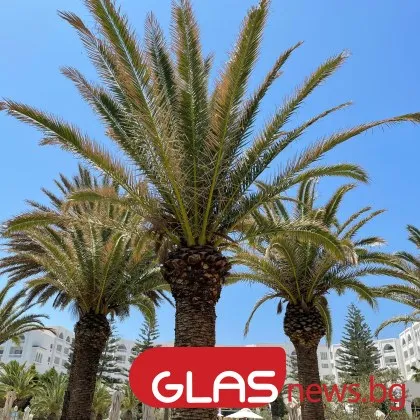 Днес преди обяд ще бъде слънчево В следобедните часове атмосферата