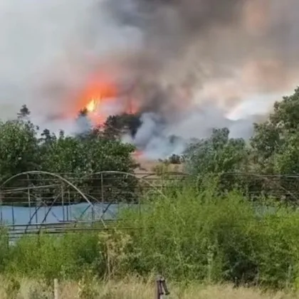 Пожарът над костинбродското село Опицвет отново се разгоря и застрашава