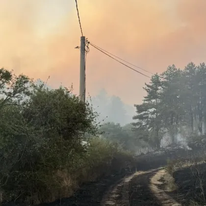 Битката с пожара който в понеделник пламна край няколко села