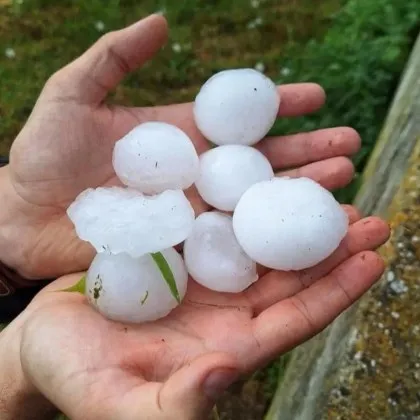 В момента България се гърчи от жегата а горещата вълна