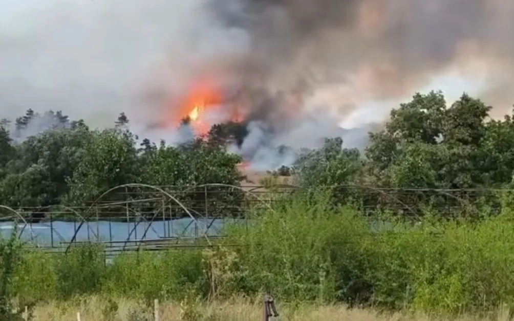 Пожарът край Костинброд пламна отново! Застрашава детски онкоцентър