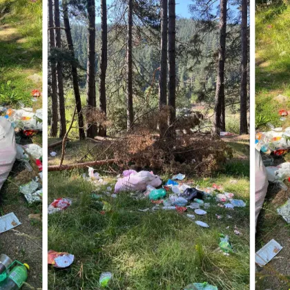 Снимки публикувани от мъж разхождащ се в гората край Самоков