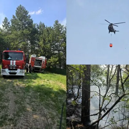 Първи подробности за пожара пламнал край Асеновград Както GlasNews дсъобщи стихията