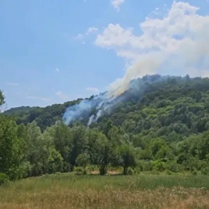 Горски пожар избухна в района на беловското село Габровица съобщи