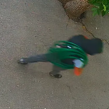 Кражба на маркуч за поливане от частен имот вдигна на нокти жителите