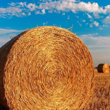 Огромен пожар изпепели 220 бали с фураж в землището на