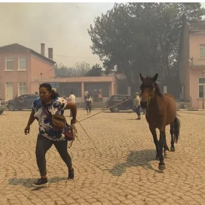 Два пожарни екипа и хеликоптер са насочени към овладяване на