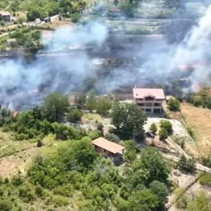 Пожарът който избухна в следобедните часове в гориста местност между